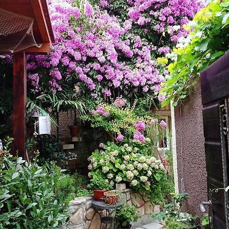 Apartman I Sobe Cule Cres Exterior photo